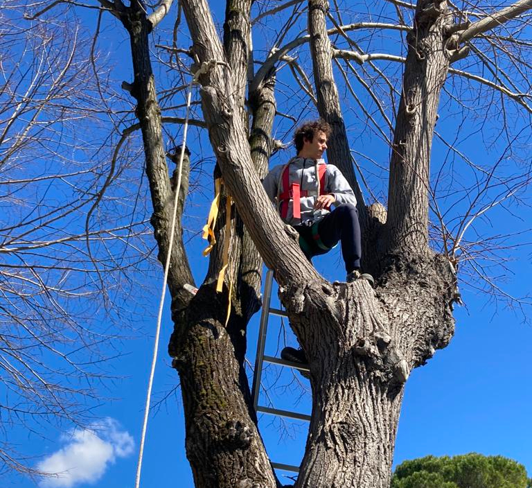 Gian Marco Pinzani - GEA Gardens